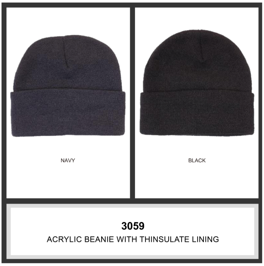 Acrylic Beanie w/thinsulate Lining - HW 3059